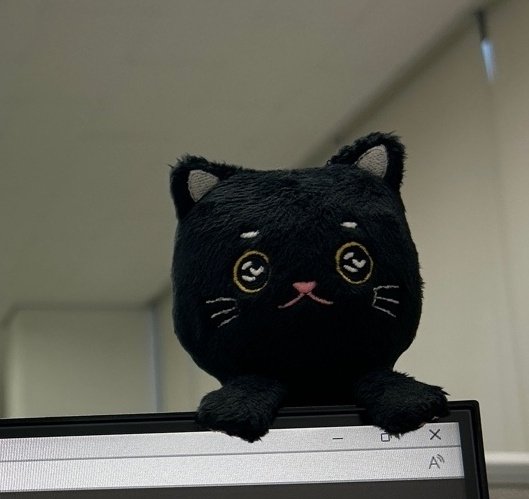 구름빵제작소는 커미션신청을 올해까지만 진행 후 종료합니다.
혹시 기존에 제작하셨던분들 중 복제를 원하시면 다음주까지 연락부탁드립니다.