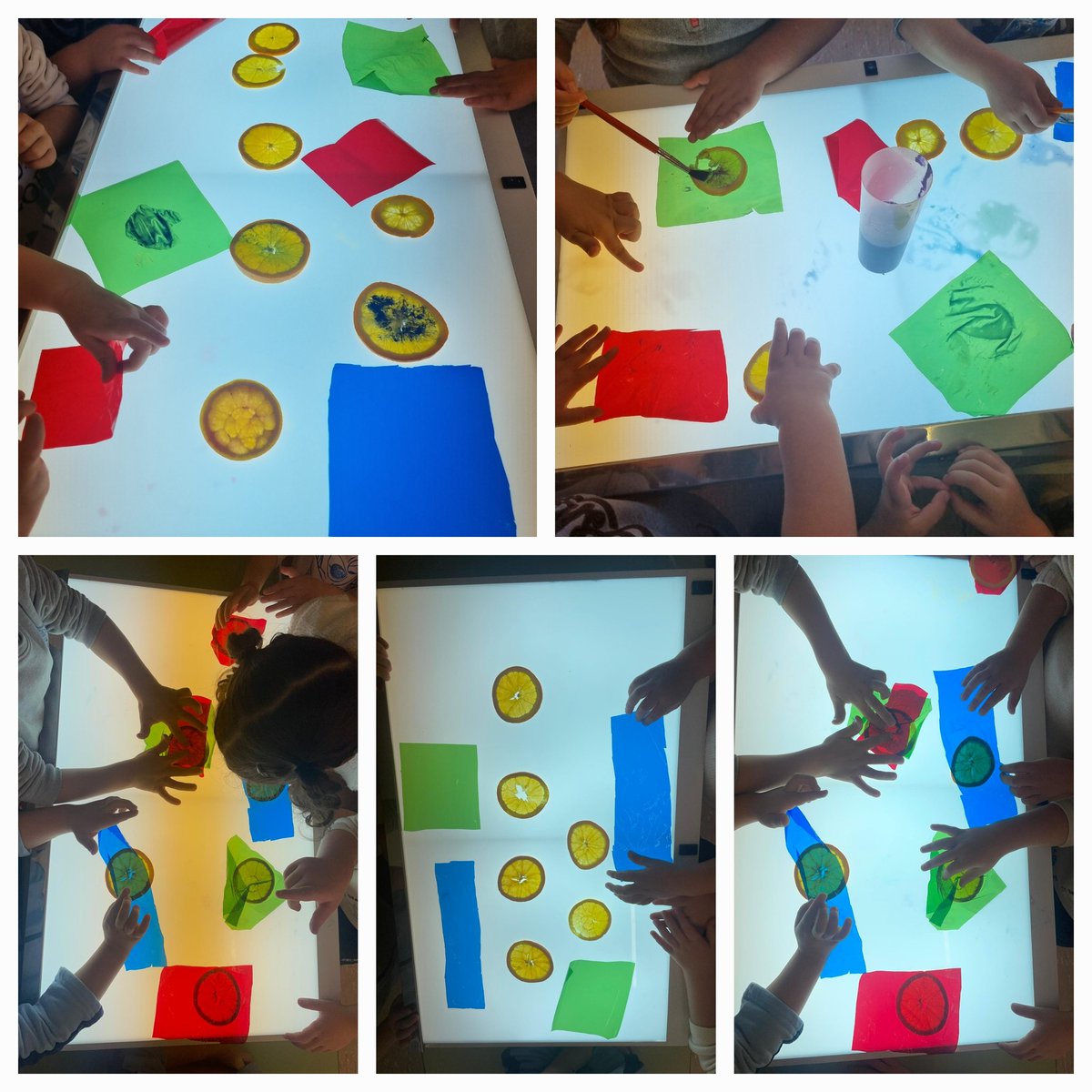 INFADIMED ® tweet media