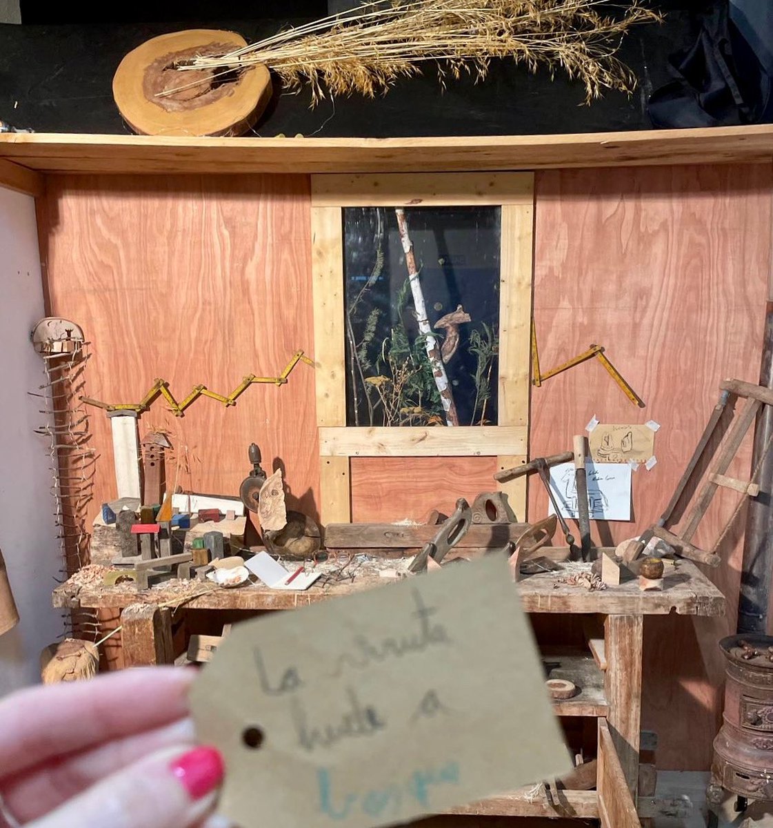 ¡Felicidades a la comunidad educativa de las aulas de Navafría! Primer premio zonal en el 34° concurso de belenes de la @diputaciondesegovia. ¡A por la siguiente fase! 
#escuelaruralescuelagenial #centrosCyL #lavirutahueleabosque