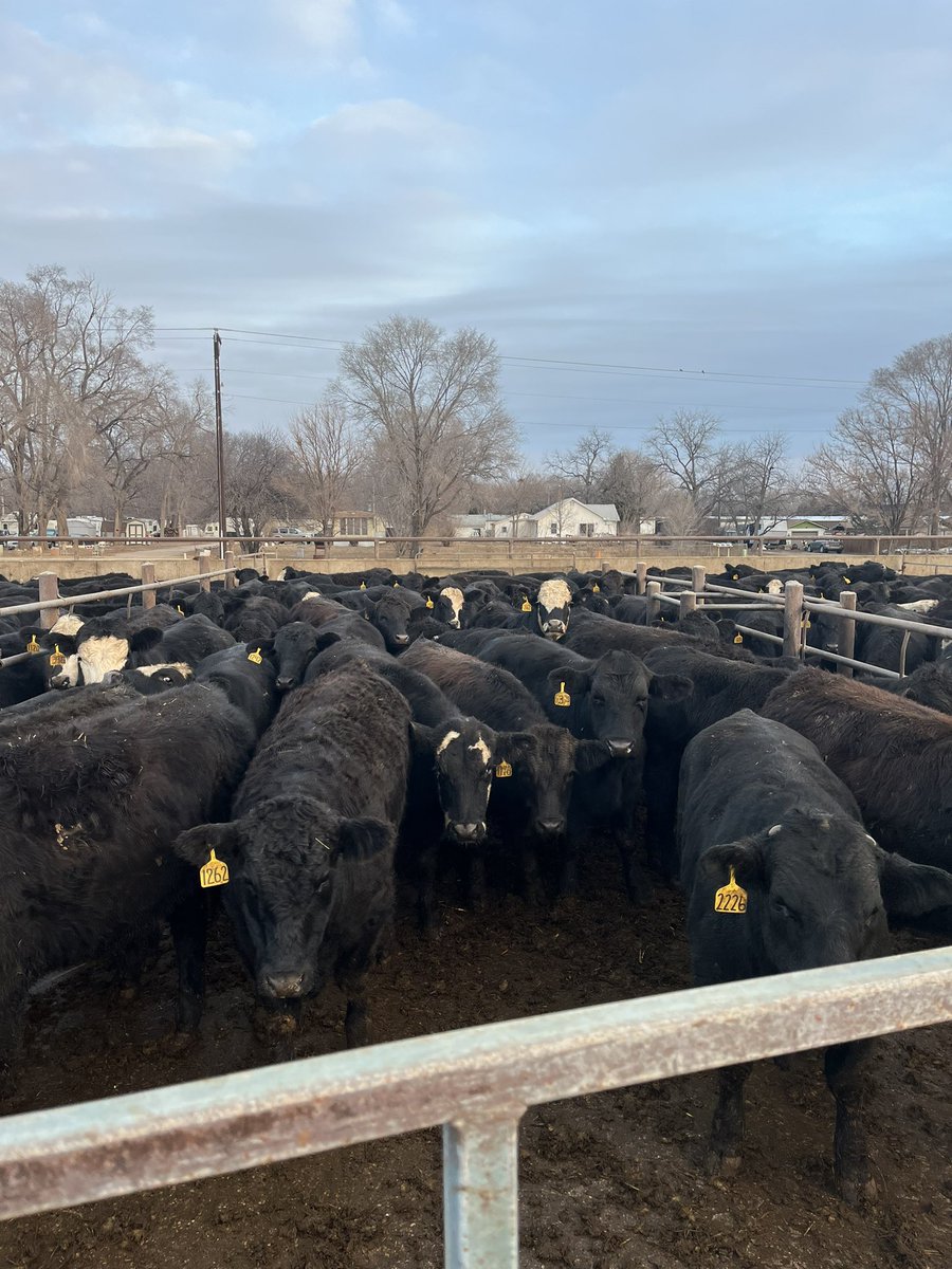 DylanRus's tweet image. 7,000 today