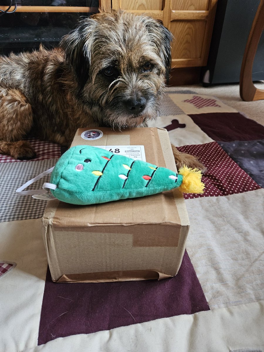 PlutotheT's tweet photo. #btpsanta thank you to my Secret Santa 🎅 and @bemorebob2 for my gift. It's been hidden away until the big day 🎄🎄 https://t.co/0fFNFcMq05