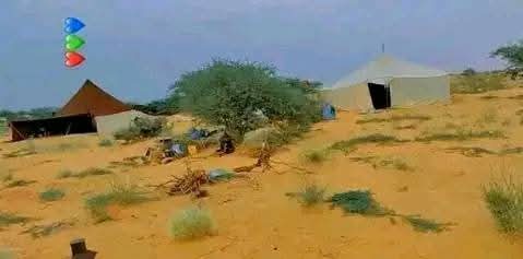 أسعد الله صباحكم