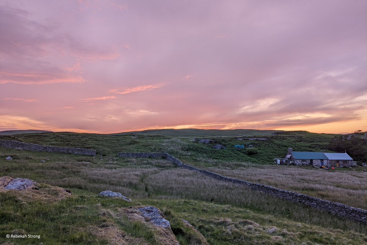 Ready for an unforgettable adventure? ✨

We're looking for volunteers to help look after Handa Island, off Scotland’s stunning north-west coast. 

You can find out more and apply via our website. 👇
scottishwildlifetrust.org.uk/how-to-help/vo…

#Scotland #wildlife #conservation #volunteering
