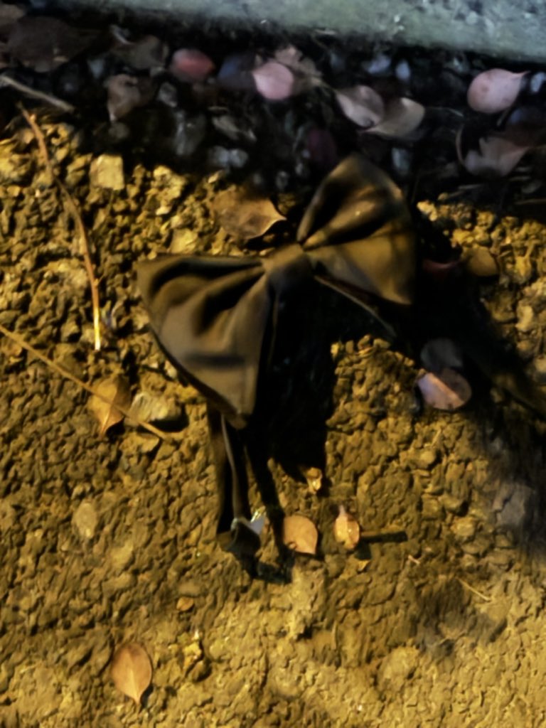 Shiflog's tweet image. We were standing and freezing suddenly i saw this👀
I'm really curious to know who was it for, that they dropped and maybe lost it🥲🤣
#Yabani ‘s set Last day🥲♥️