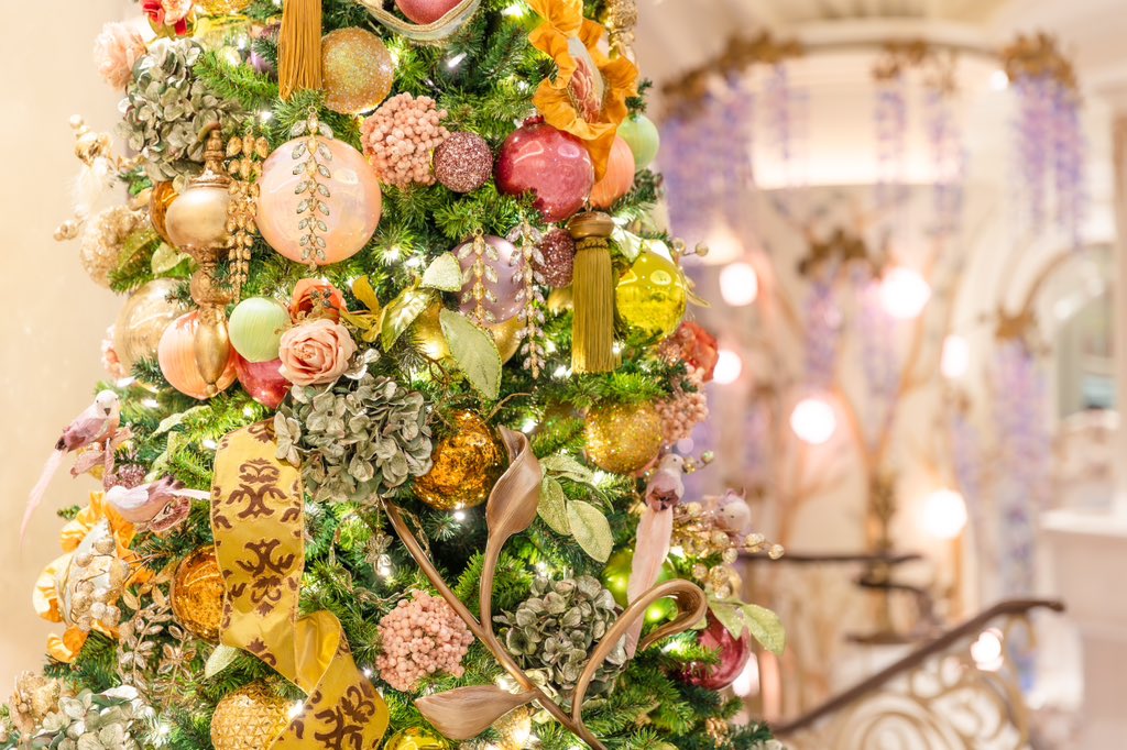 mito_pic's tweet photo. ファンタジースプリングスホテルの
クリスマスデコレーション🎄🌟🦋

色合いがとても好き！ https://t.co/AKylL6V9Zu