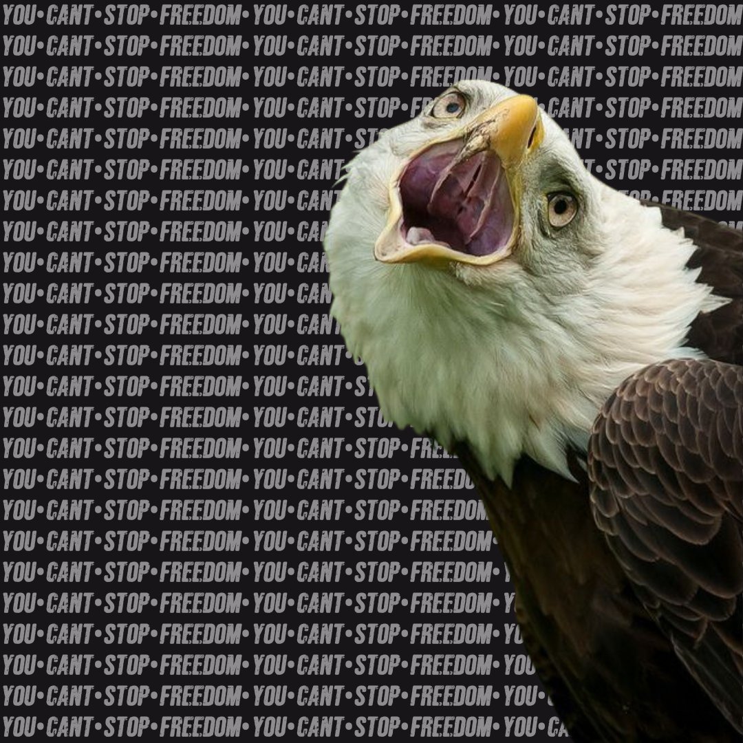 A SOLDIER CAN BE LOUD

BUT AN ARMY IS DEAFENING

"YOU•CANT•STOP•FREEDOM"

SAY IT WITH ME 

"YOU CANT STO-"