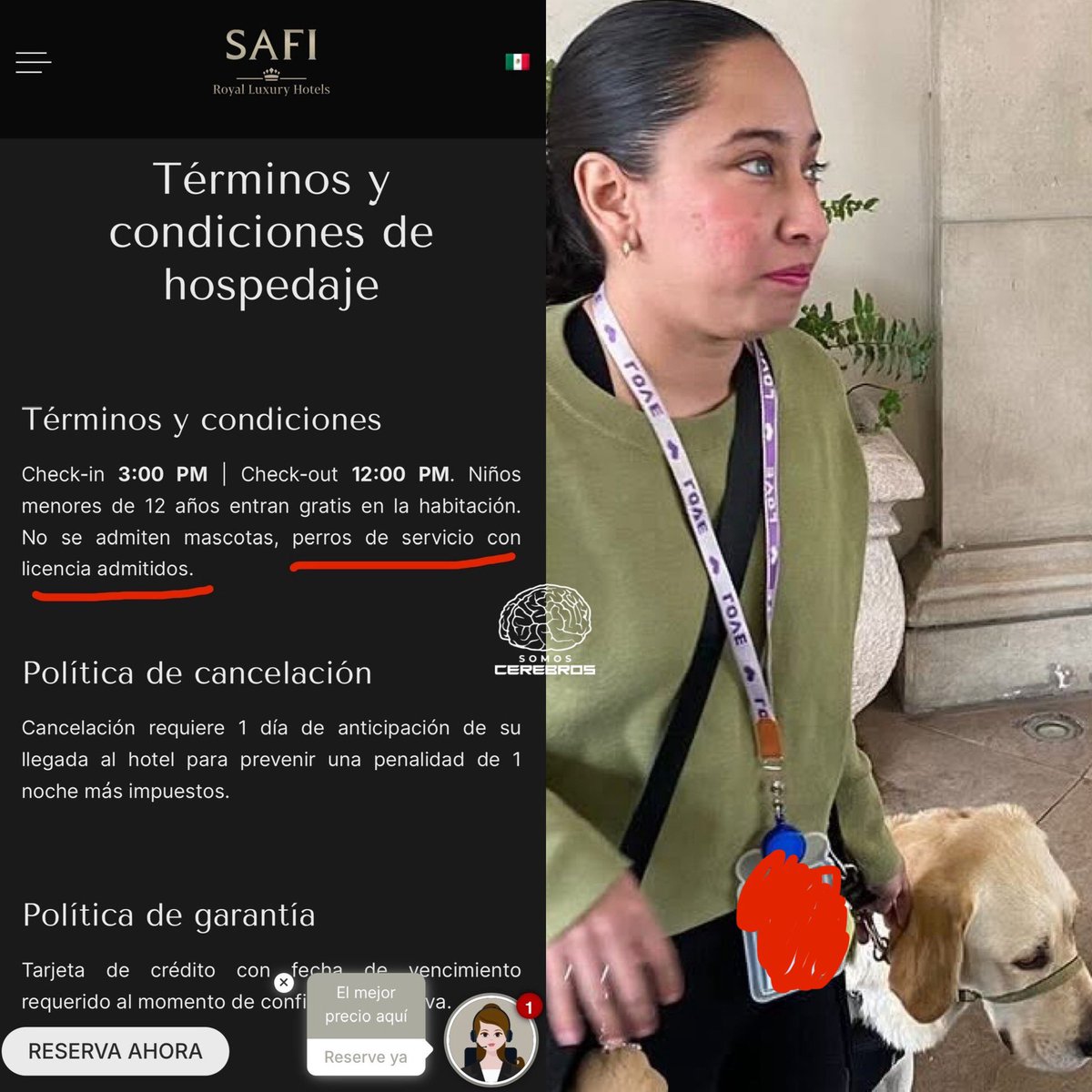 CerebrosG's tweet photo. El día de ayer en redes sociales, se viralizo un video de Sari, una mujer con disca?!$&!&$pacidad visual, a quien le prohibieron la entrada al Hotel Safi, en Monterrey, debido a que iba acompañada de su perro guía. El personal del hotel argumentó que “no se permiten mascotas”.

La chica solo iba a una posada de su trabajo y no la dejaron pasar con el perrito.

Pero si ustedes mismos se meten a la página oficial del hotel, podrán encontrar la siguiente información.

El caso ha escalado tanto que hasta el gobernador de Nuevo León ya intervino en esta situación.