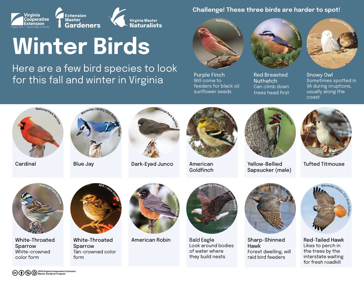 Virginia Cooperative Extension Master Gardeners tweet media