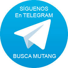 Hemos creado un canal Mutang en Telegram, los invitamos a seguirnos

Se puede buscar Mutang en canales de Telegram o bien agregar el WhatsApp de acceso para Chile número +56978034074

VISITA mutang.cl

#telegram #chile #estadosunidos #usa #peru #mexico #rrss