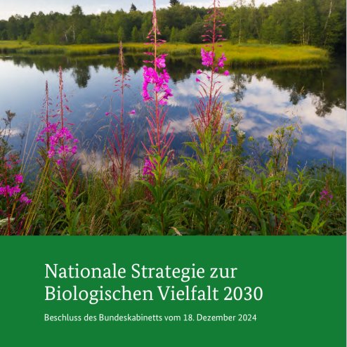 succow_stiftung's tweet photo. Die Bundesregierung hat die Nationale #Biodiversitätsstrategie 2030 verabschiedet! Ein wichtiger Schritt, um Biodiversitätskrise &amp; Klimakrise zu begegnen! Doch damit die Strategie nicht ein Plan bleibt, braucht es klare #Umsetzungsmaßnahmen. https://t.co/hPSRsq64Le #Moormussnass https://t.co/rqSB8q9d5u