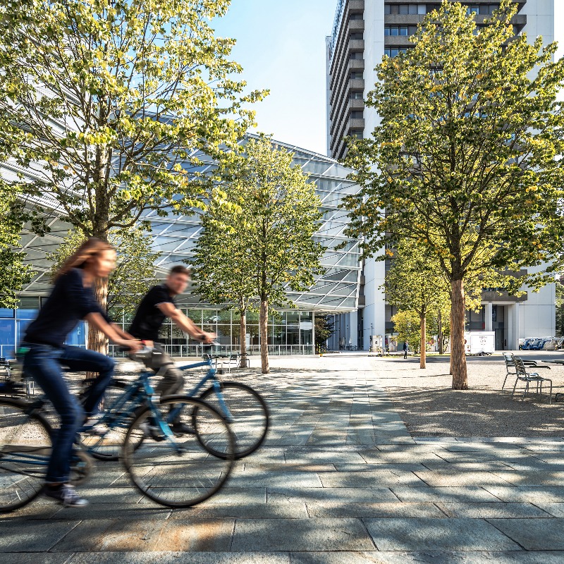 NovartisScience's tweet photo. Novartis, @bioagelabs announce multi-year collaboration to discover novel targets for therapies that address age-related diseases and conditions.