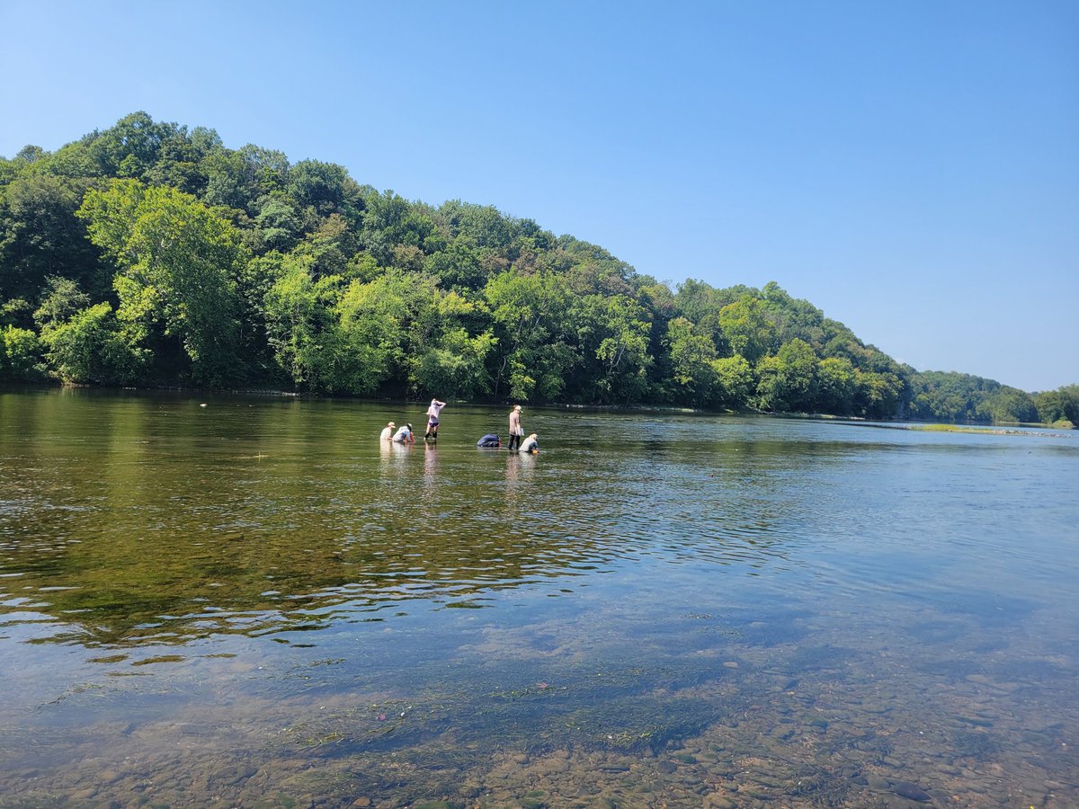 Matt Ashton (@mattashton81) on Twitter photo Hiring 3 and 6-10 month term, entry (technician) level positions with Maryland DNR's freshwater mussel assessment crew. 
jobapscloud.com/MD/sup/bulprev⦠Hiring 3 and 6-10 month term, entry (technician) level positions with Maryland DNR's freshwater mussel assessment crew. 
jobapscloud.com/MD/sup/bulprevβ¦