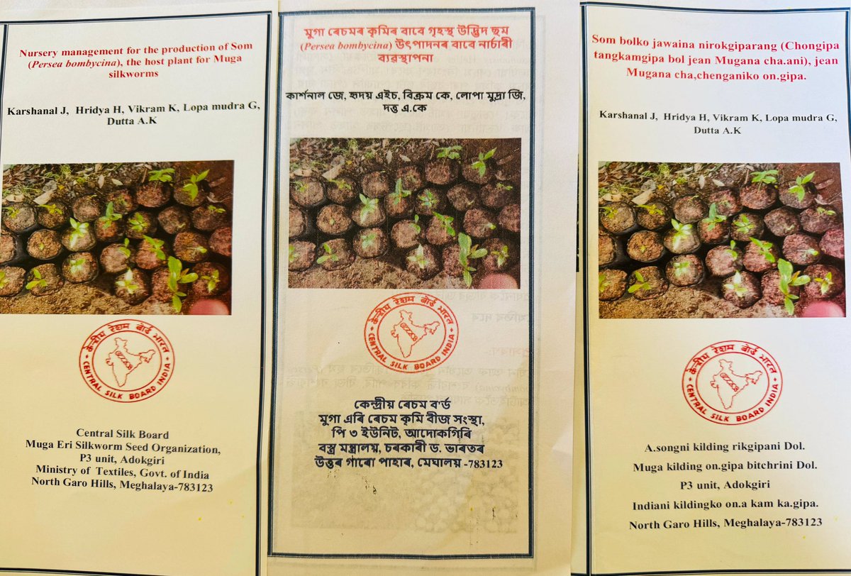 MssoSilk's tweet photo. CSB MESSO P3 Adokgiri organized Farmer’s awareness on Nursery management for som saplings &amp; establishment of som plantation for muga on 18/12/2024. CSB officials &amp; DoS Meghalaya official addressed the farmers. Pamphlet distributed in Garo, Assamese &amp; English.@csbmot @TexMinIndia https://t.co/ocamYRDCGt