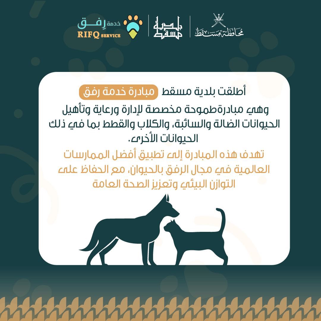 الصورة