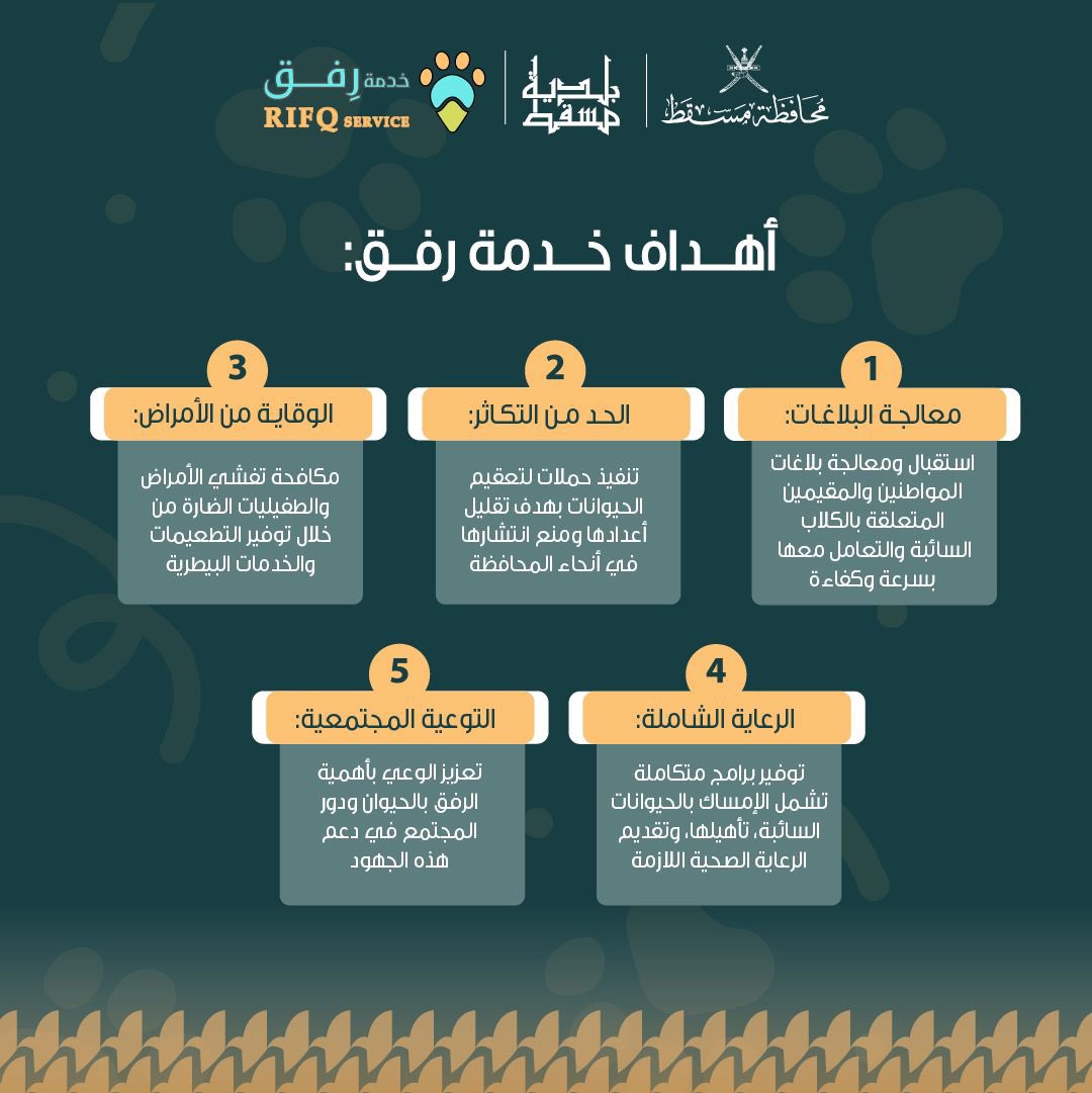 الصورة