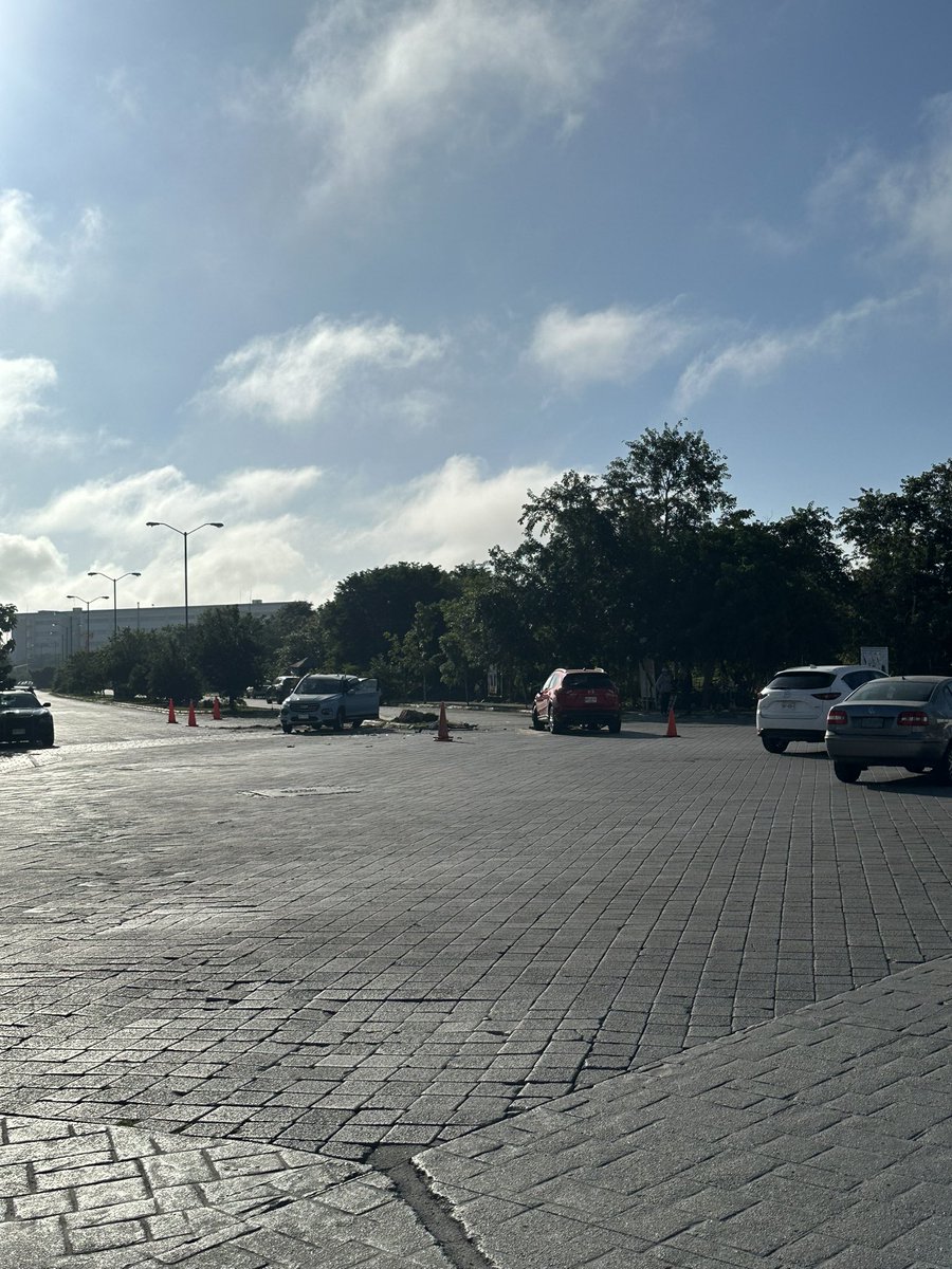 Diego Mantecon tweet media