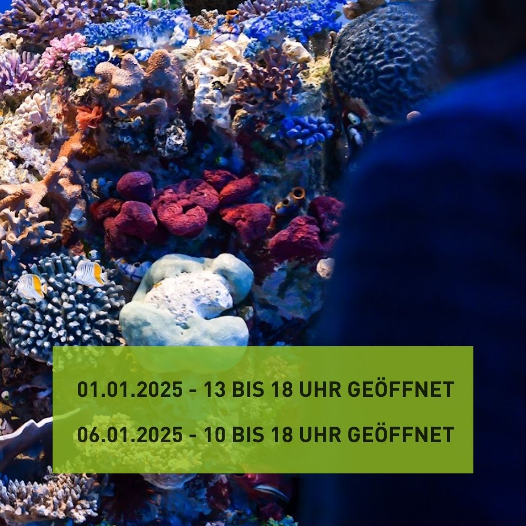 Happy New Year 2025! 
Wir wünschen ein gesundes und frohes neues Jahr. ✨✨✨

Unsere Öffnungszeiten während der Feiertage:
- Am 1. Januar 2025 haben wir von 13-18 Uhr geöffnet
- Am 6. Januar 2024 haben wir von 10-18 Uhr geöffnet

#happynewyear #naturkundemuseumstuttgart