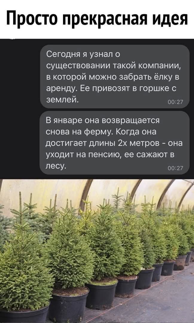 Серый Сосов (@seriysosov) on Twitter photo 