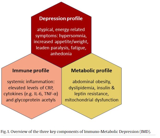 PsychiatryAmsterdam (@psychres) on Twitter photo Great collaborative work on the immuno-metabolic #depression concept, treatment avenues, and public health relevance in <a href="/LancetRH_Europe/">The Lancet Reg Health-Europe</a> now out (OA): authors.elsevier.com/sd/article/S26…
<a href="/brenda_penninx/">Brenda Penninx</a> <a href="/LamersFemke/">Femke Lamers</a> <a href="/golam_khandaker/">Golam Khandaker</a> <a href="/LiviaDePicker/">Livia De Picker🌻</a> <a href="/YMilaneschi/">Yuri Milaneschi</a> & others Great collaborative work on the immuno-metabolic #depression concept, treatment avenues, and public health relevance in <a href="/LancetRH_Europe/">The Lancet Reg Health-Europe</a> now out (OA): authors.elsevier.com/sd/article/S26…
<a href="/brenda_penninx/">Brenda Penninx</a> <a href="/LamersFemke/">Femke Lamers</a> <a href="/golam_khandaker/">Golam Khandaker</a> <a href="/LiviaDePicker/">Livia De Picker🌻</a> <a href="/YMilaneschi/">Yuri Milaneschi</a> & others