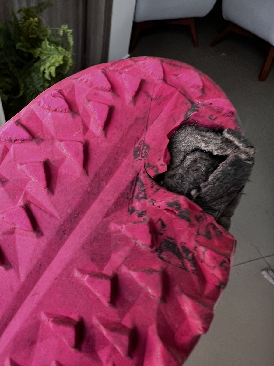 paulozada_ec's tweet photo. Hace menos de 1 año compré un par de zapatos de fútbol @adidas @adidasfootball para césped sintético para mi hijo… El fin de semana pasado mi hijo me dice: mira Pa, mis zapatos se rompieron, y al verlos me sorprendí por cómo lo hicieron… alguna recomendación? https://t.co/AlTqNCyrrG