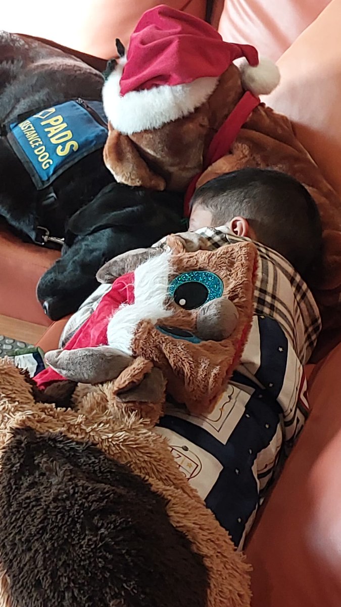 CPS Victim Assistance Support Team (@cpsvast) on Twitter photo AFD Cali and her handler Cst. Hill were part of a team of wrap-around supports from <a href="/lunacentreyyc/">Luna Child and Youth Advocacy Centre</a>, <a href="/RCMPAlberta/">RCMP Alberta</a>, and Southern Alberta Regional Victim Services for this young person and their family as they went through the court system. AFD Cali and her handler Cst. Hill were part of a team of wrap-around supports from <a href="/lunacentreyyc/">Luna Child and Youth Advocacy Centre</a>, <a href="/RCMPAlberta/">RCMP Alberta</a>, and Southern Alberta Regional Victim Services for this young person and their family as they went through the court system.
