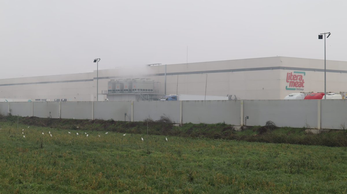 BernardoÁlvarezV tweet media