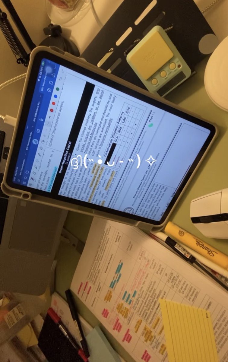rmtmdniwonu's tweet photo. proof of life 🍓 [121824] 
tags 🏷️: #studytwt #studytwtph #medtechph https://t.co/CJ4ECtS2jg