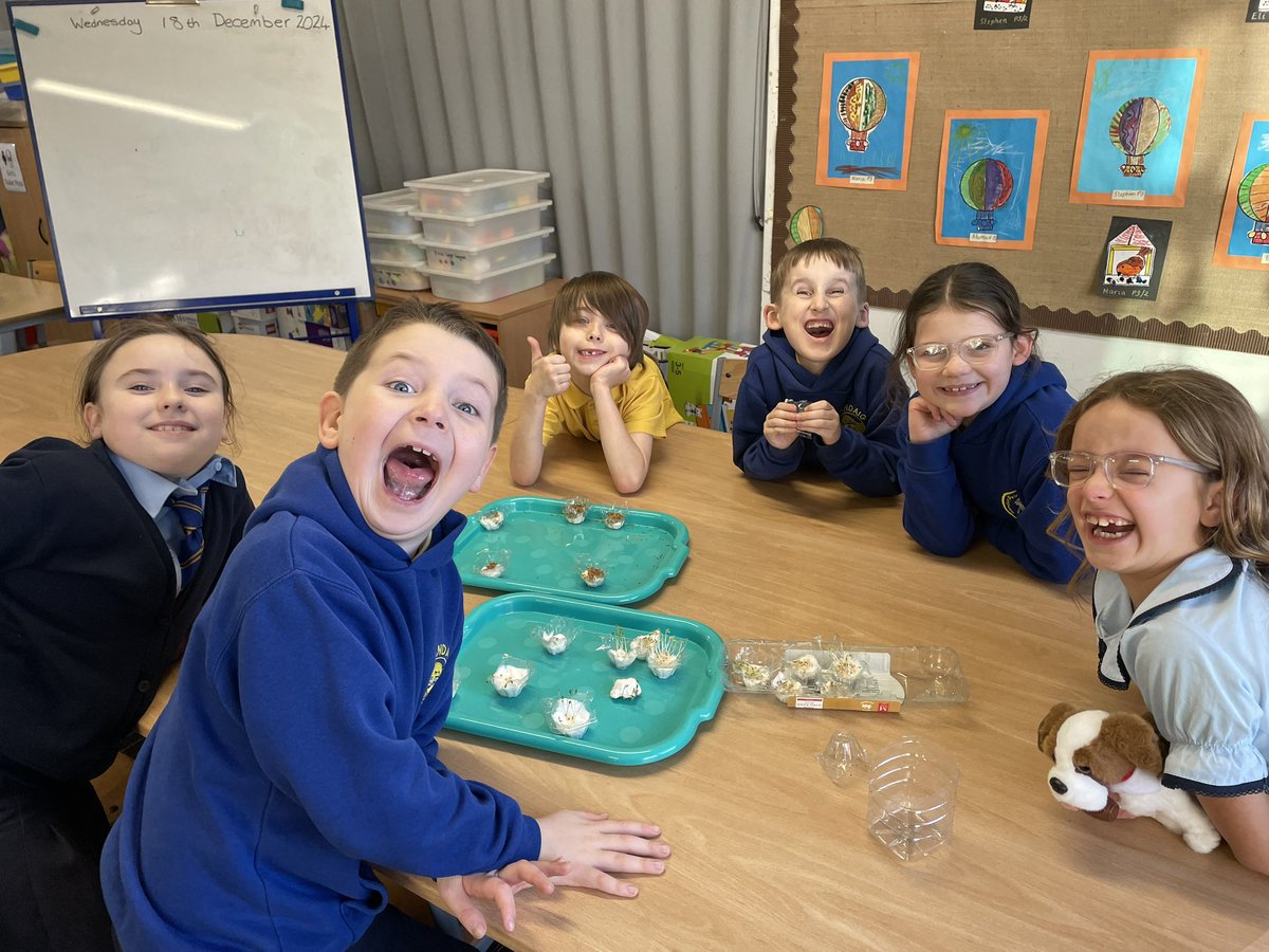 sandaigprimary's tweet image. P4 STEM group checking in the growth of the cress seeds grown under different conditions 🌱 @GSC1 #GSCLearningLab @STEMGlasgow @Jane_Arthur_
@Doug.GCC 
@STEMLearninguk
@RAISEScotland
@EdScotSciences
@NASAEarthData