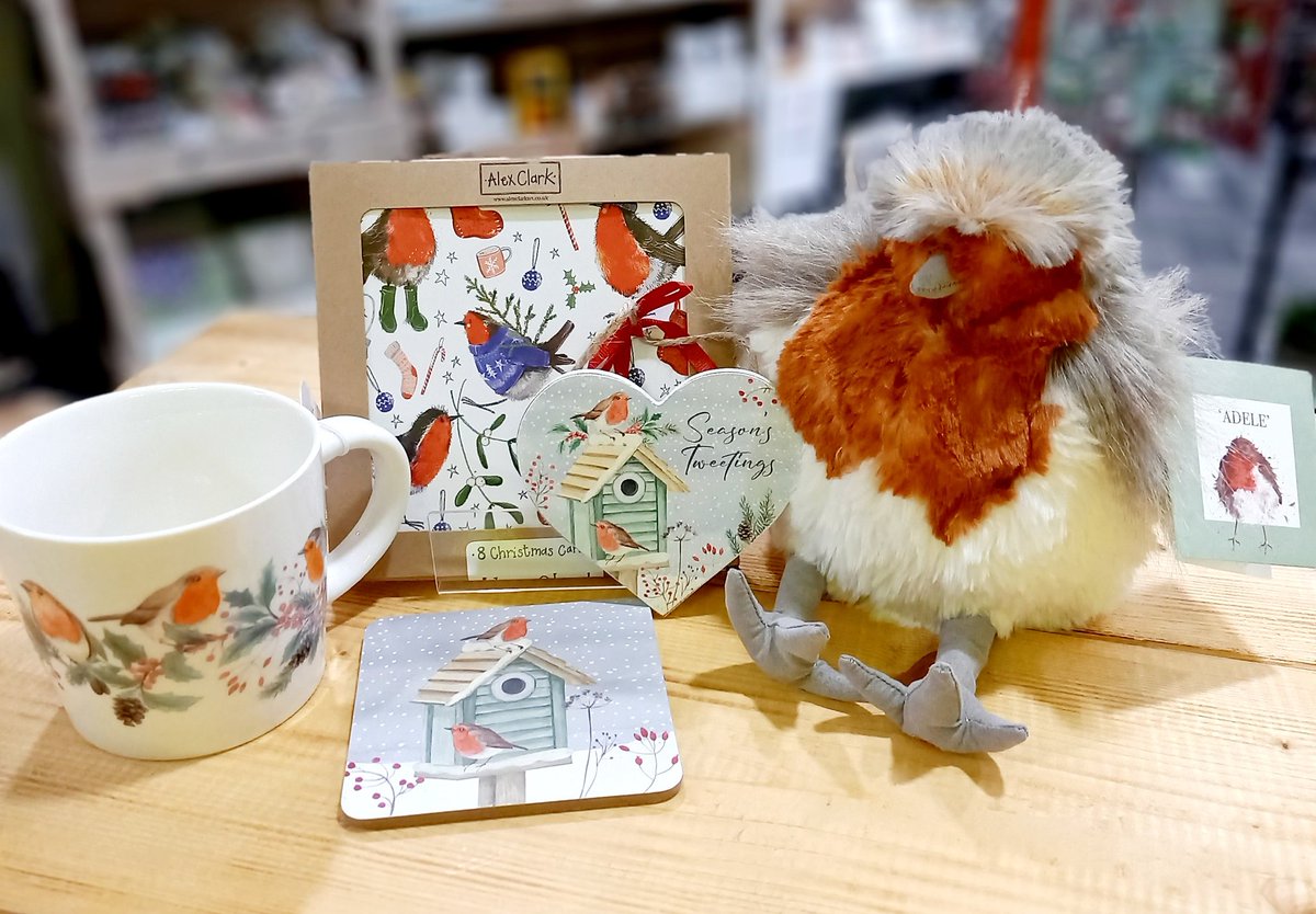 Shop local this Christmas with Maybugs 💛 We still have plenty of choice for that perfect gift this year! #TunbridgeWells #Eastbourne #Hailsham #Bexhill #Robins #Christmas2024