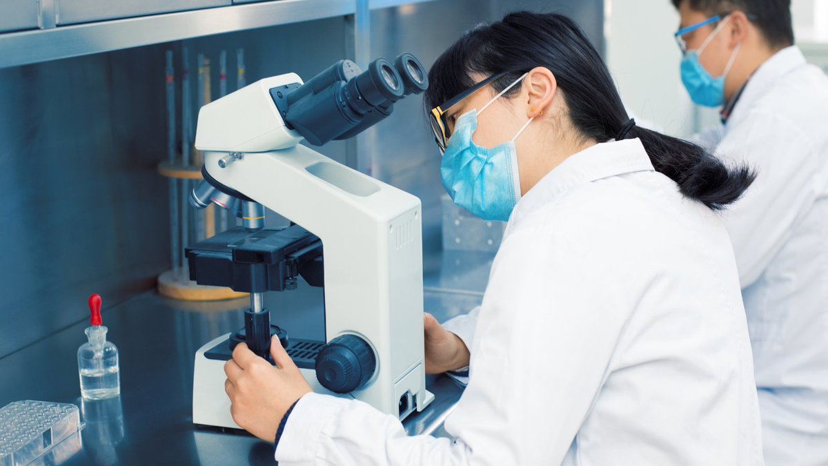 NDMOxford's tweet photo. In a study led by @SIPBS_Strath, @OxfordStrubi and S-acylation experts from UK universities have received £6.4m to research the impact of #ProteinModification on cell physiology, which will advance the field and deepen our understanding 🔬
Read more 👉 https://t.co/U6RmBPcvpR https://t.co/ZeGsWUNsuV