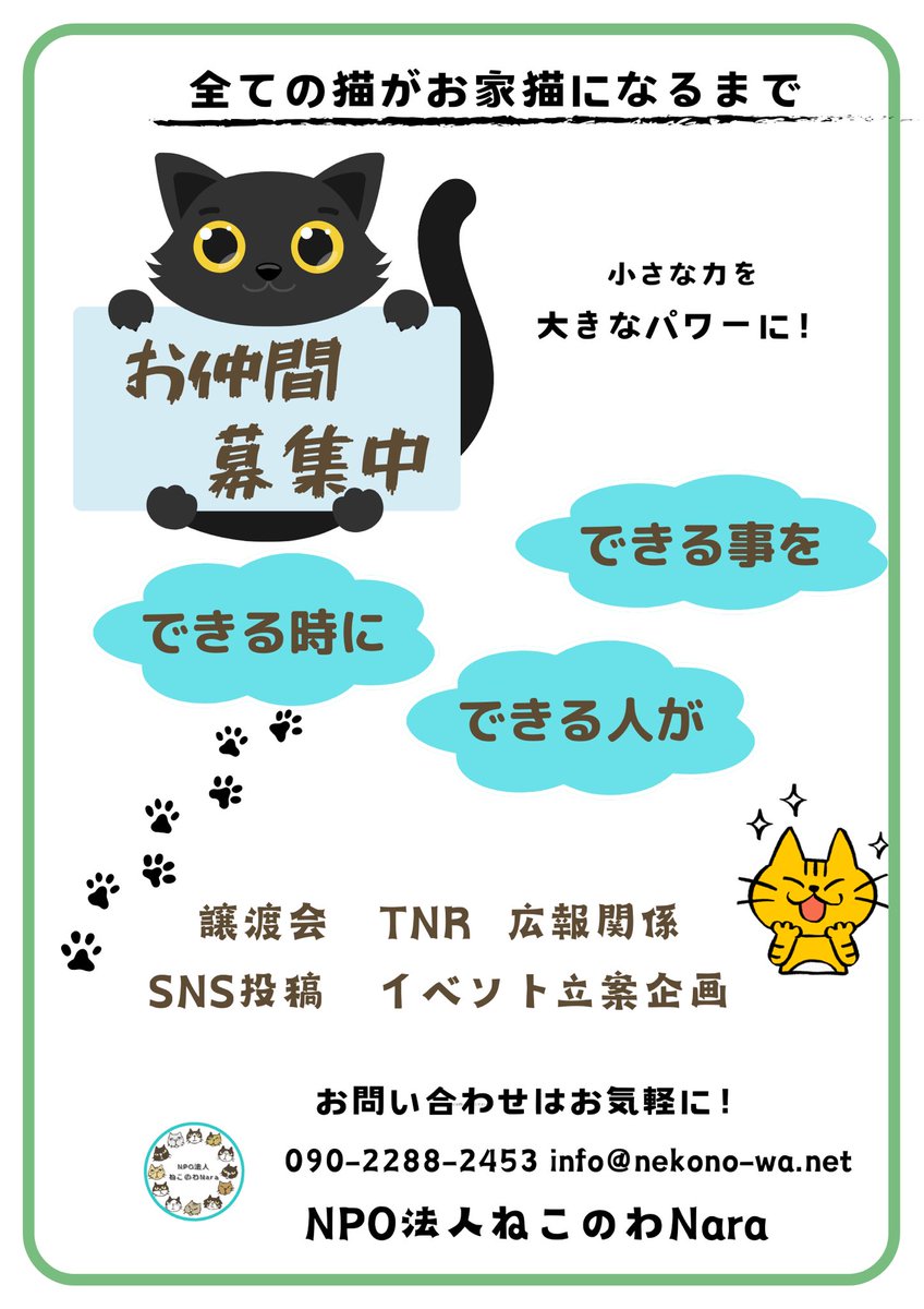 ひとりではできない事を補い合う事で猫の為にできる事が増えます❗️