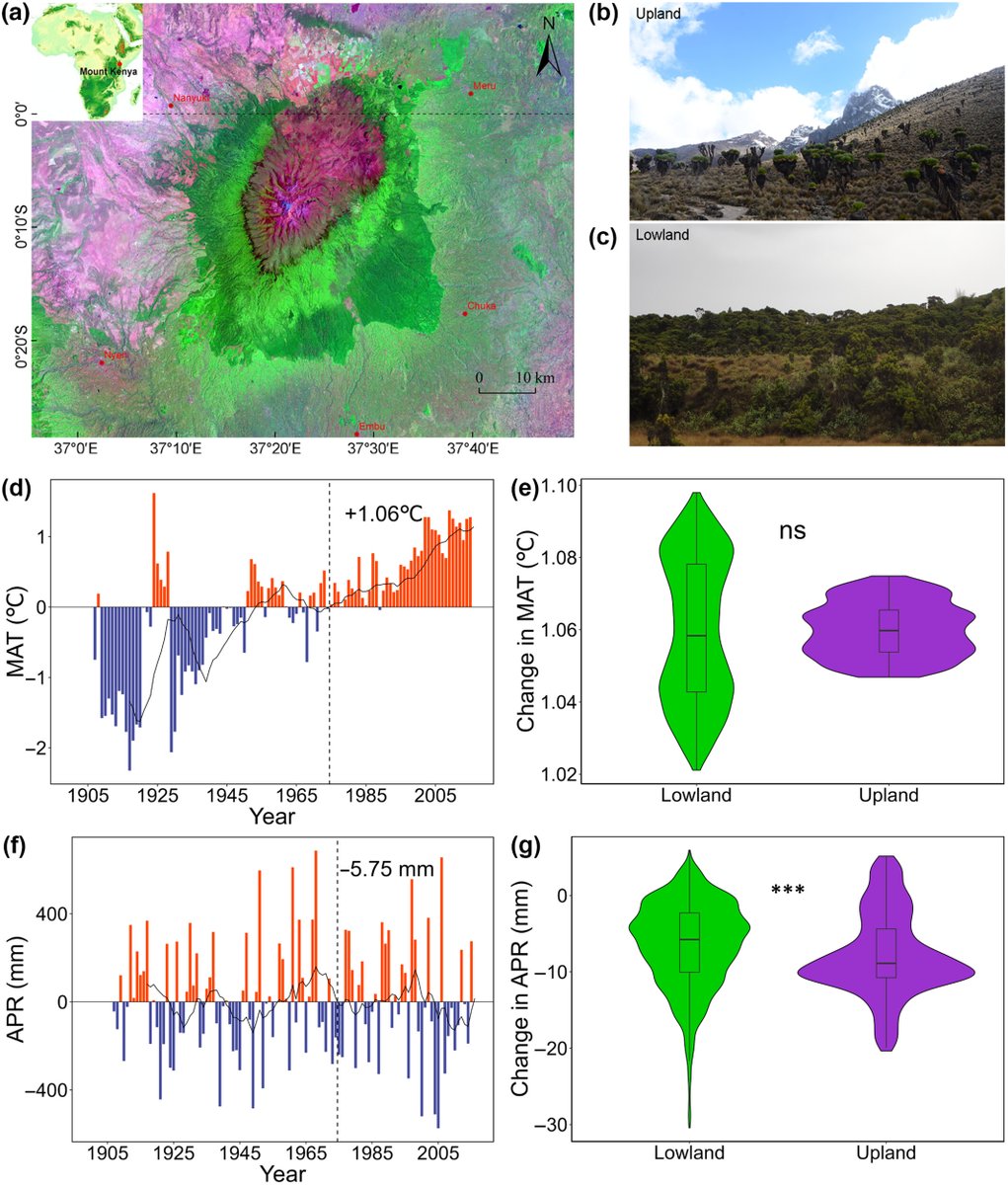 NewPhyt's tweet photo. Climate change drives plant diversity attrition at the summit of Mount Kenya

Fu et al.

📖 https://t.co/aaIL2Kp7jc https://t.co/BdDOMY0SHP