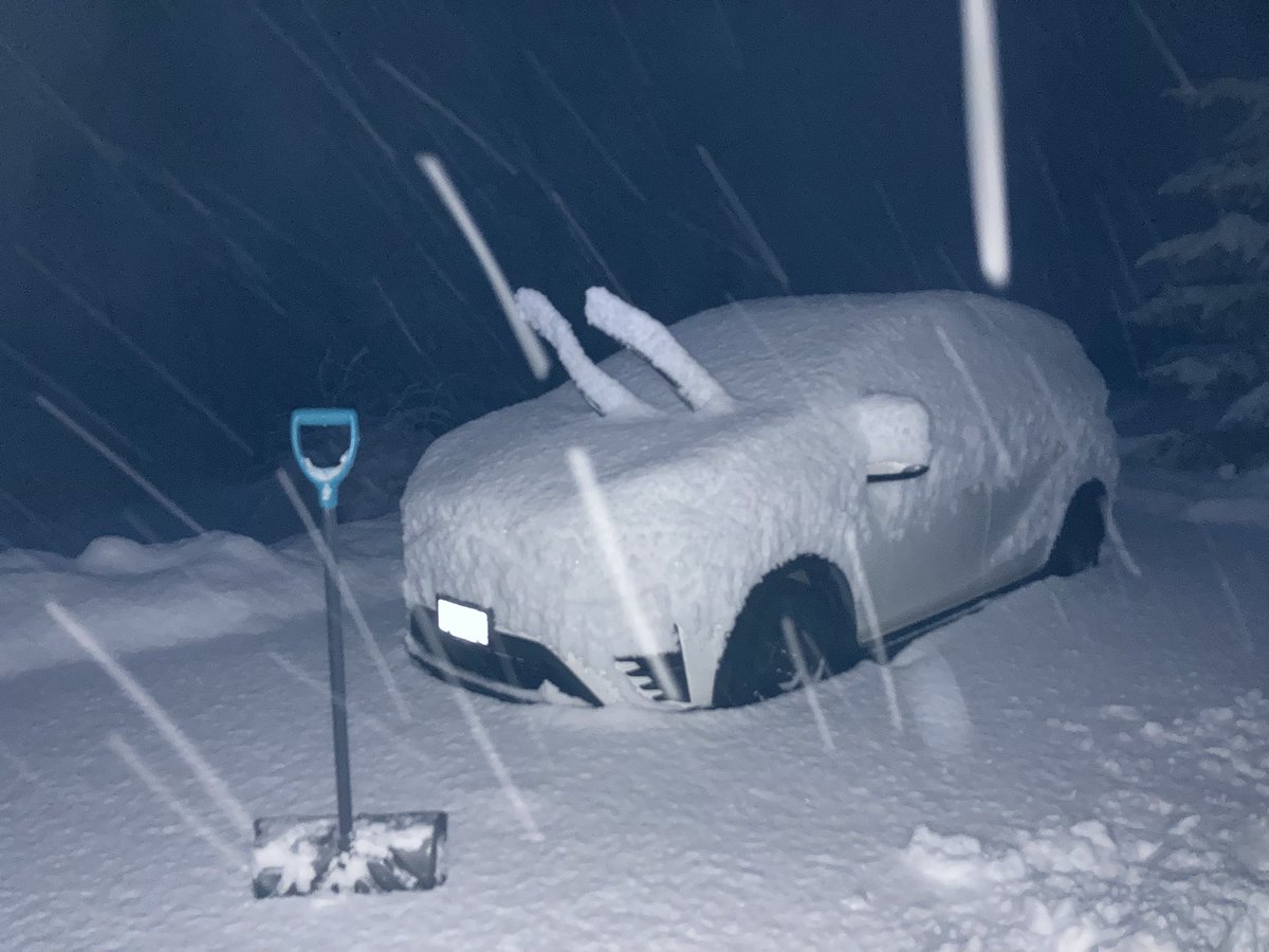 meteo_matt's tweet image. 23cm overnight in Bonnington 12im west of #NelsonBC and still steadily snowing #BCstorm #BCwx #LetItSnow