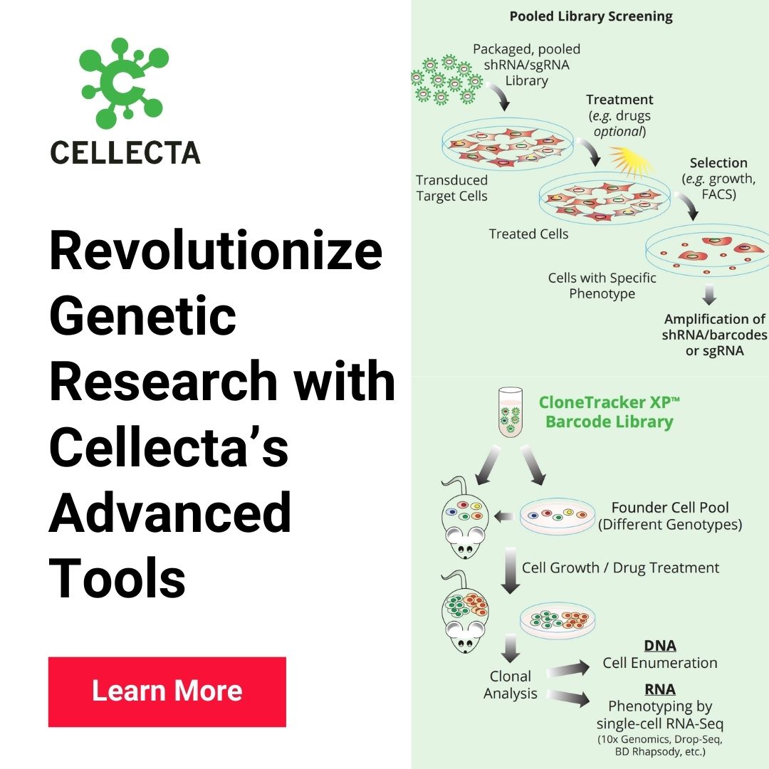 CELLECTA's tweet image. Explore Cellecta’s comprehensive technology overview poster, featuring our advanced tools for CRISPR/RNAi genetic screens, DriverMap™ expression and immune receptor profiling, and CloneTracker™ barcode libraries.

cdn.shopify.com/s/files/1/0011…

#GeneticScreens #CRISPRTools