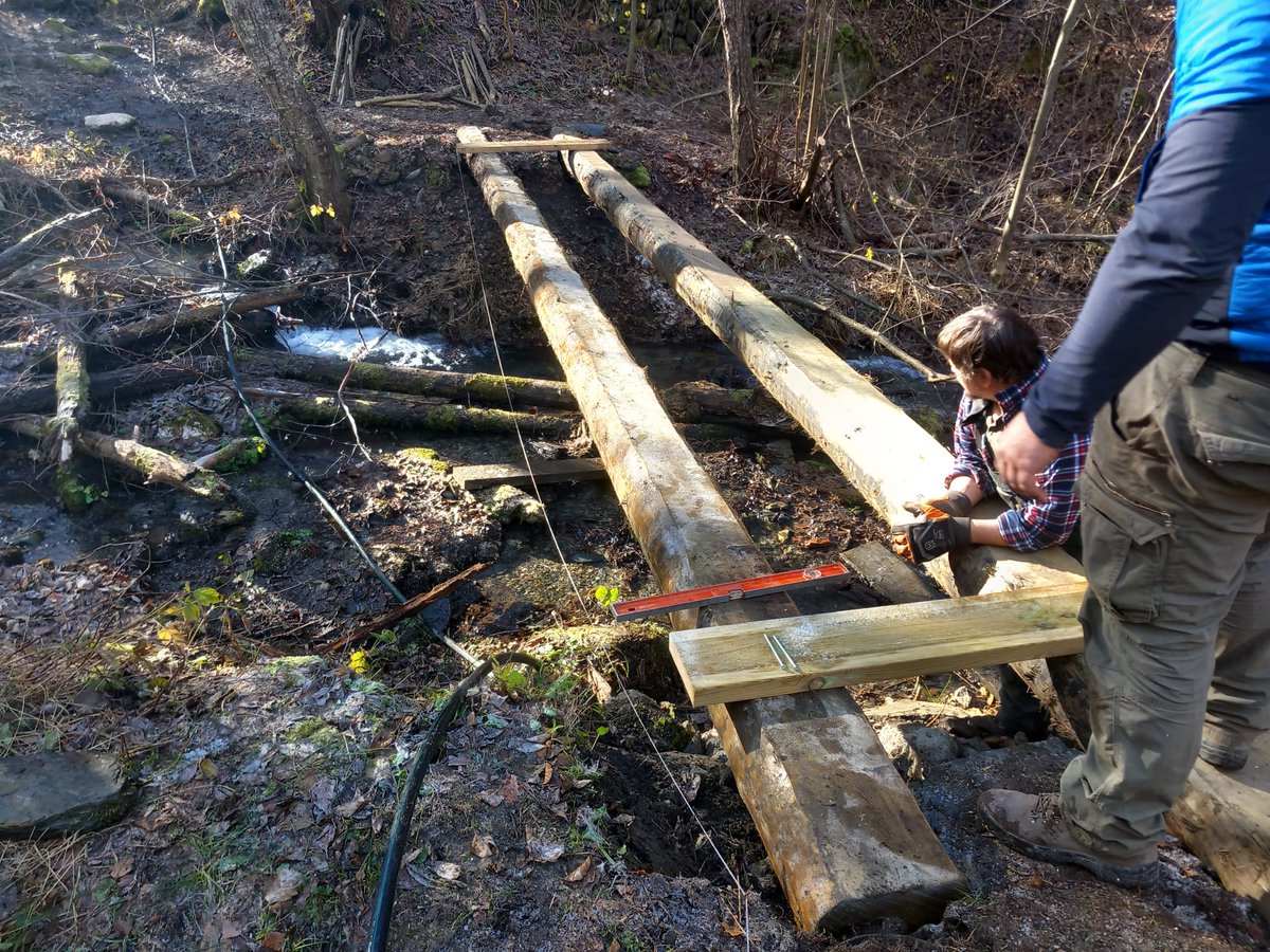 Parc Natural de l'Alt Pirineu tweet media