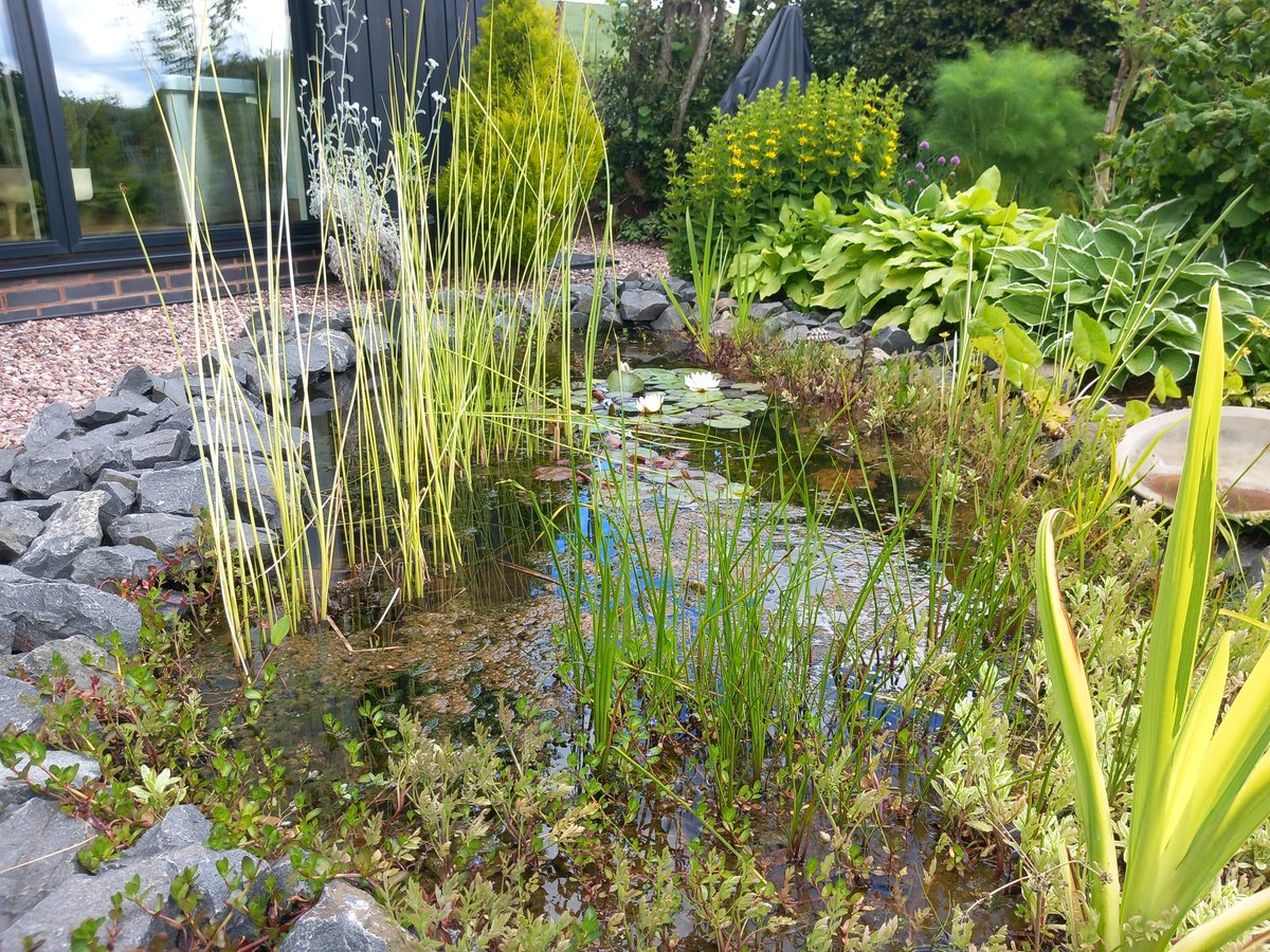 MBC Timber Frame Ltd tweet media