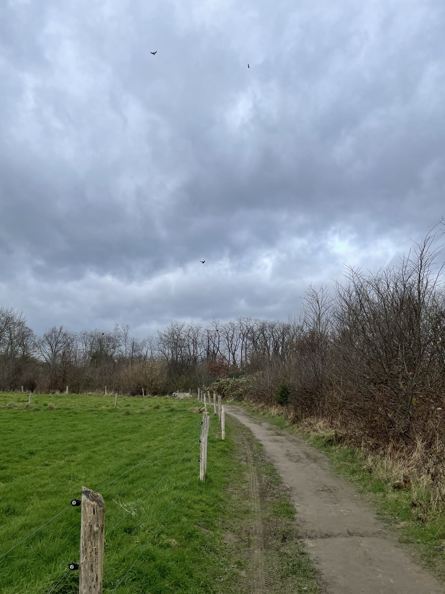 Stregalina's tweet photo. #vrtweer Heverlee, 15u27 https://t.co/gUBvSa2JM9