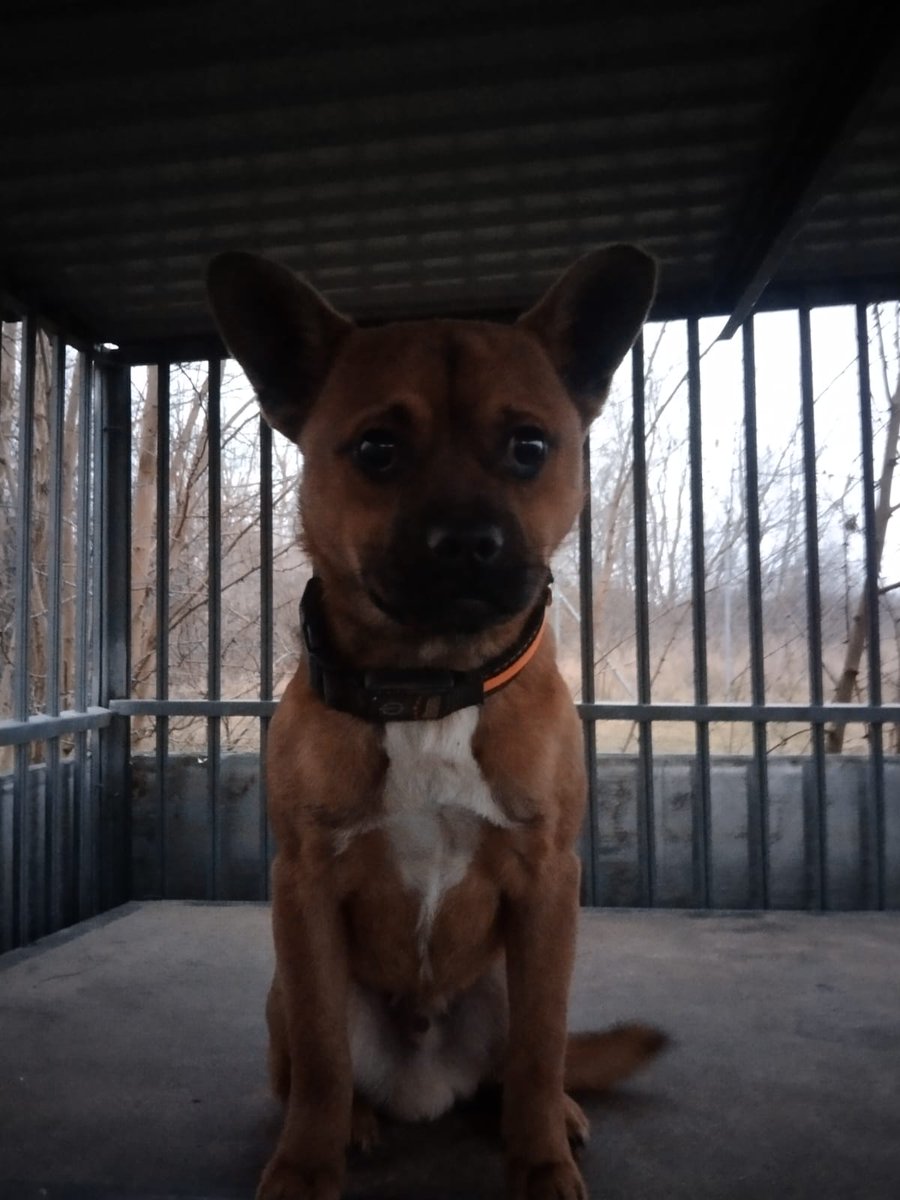 Adam Marchliński tweet media