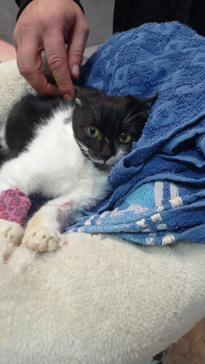 Adam Marchliński tweet media