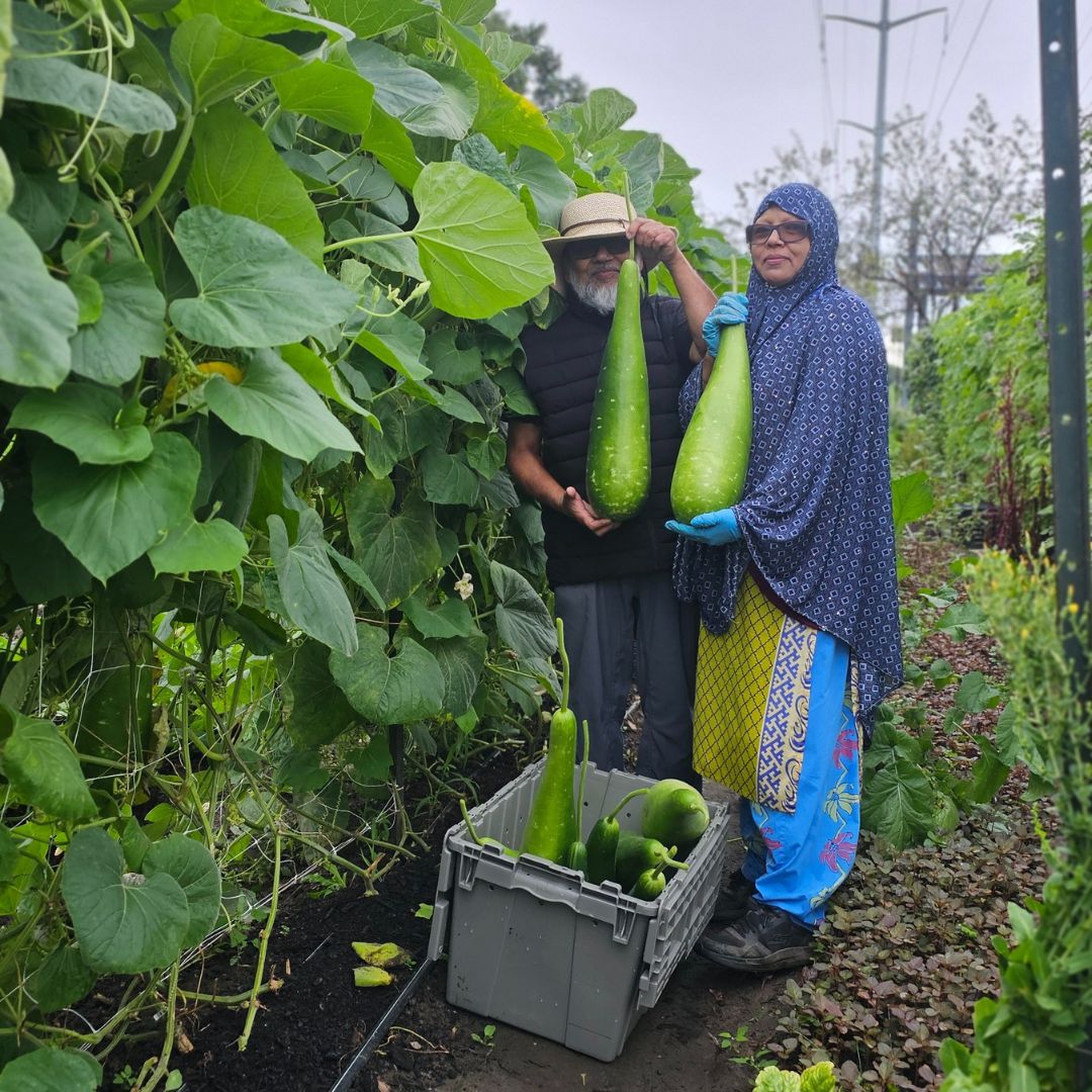 Give care over cans this holiday season.

While support for our food justice programming flooded in during the height of the pandemic, it’s more &amp; more challenging to fund our long-term work. Swipe through to learn about our work.

Please donate today: canadahelps.org/en/dn/98154 💚