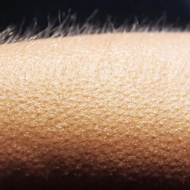 gibsonoma's tweet image. #RHOBH