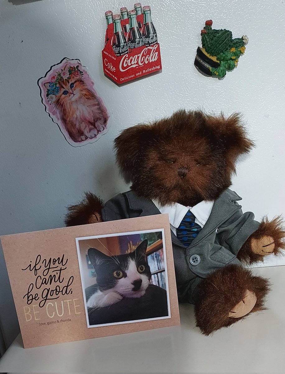 Da Bruizzerz (@blutospin) on Twitter photo Hiyaaa. Festus here. Looky at thiz awesome kard me and da bruizzers and pops got frum <a href="/RhondaHendee/">Gizmo ๐บ๐ธ Rhonda #ZSHQ</a> !! Thank yew soo much. It made our day. ๐ป๐โโฌ๐โโฌ๐ดโค๏ธโค๏ธโค๏ธโค๏ธ <a href="/TeddyTedaloo/">Teddy Tedaloo</a> <a href="/irisesther54/">Iris Esther Lรณpez RIP Pixie ๐</a> <a href="/3coolkatz/">KAL #RIP Pixie ๐</a> <a href="/TeddysFamiwy/">The Teddy #BeMoreToddy</a> <a href="/henryandfriends/">Henry</a> <a href="/Pixie_Tooth/">Pixie Tooth ๐๐</a> <a href="/mhmelbourne/">Penny, Sam #RIPMrTibbs/Minnie๐ ๐ฟ๐๐ฏ๏ธ</a> <a href="/belbaer/">Gregory Thetmeyer</a> Hiyaaa. Festus here. Looky at thiz awesome kard me and da bruizzers and pops got frum <a href="/RhondaHendee/">Gizmo ๐บ๐ธ Rhonda #ZSHQ</a> !! Thank yew soo much. It made our day. ๐ป๐โโฌ๐โโฌ๐ดโค๏ธโค๏ธโค๏ธโค๏ธ <a href="/TeddyTedaloo/">Teddy Tedaloo</a> <a href="/irisesther54/">Iris Esther Lรณpez RIP Pixie ๐</a> <a href="/3coolkatz/">KAL #RIP Pixie ๐</a> <a href="/TeddysFamiwy/">The Teddy #BeMoreToddy</a> <a href="/henryandfriends/">Henry</a> <a href="/Pixie_Tooth/">Pixie Tooth ๐๐</a> <a href="/mhmelbourne/">Penny, Sam #RIPMrTibbs/Minnie๐ ๐ฟ๐๐ฏ๏ธ</a> <a href="/belbaer/">Gregory Thetmeyer</a>