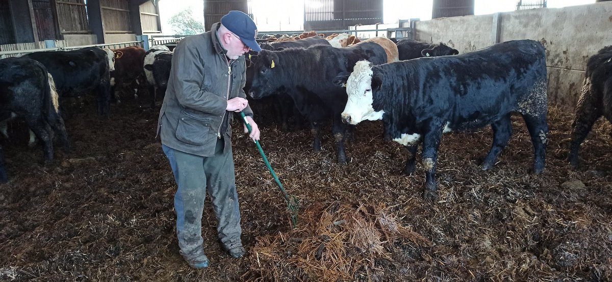Julia Cooper (@juliasoilsister) on Twitter photo Great little video on bokashi from Norton Court Farm and <a href="/LisaMorgansVet/">Lisa Morgans</a>. We're getting excited <a href="/OrgResCent/">Organic Research Centre</a> about upcoming trials as part of Feed the Soil with <a href="/LandGardeners/">The Land Gardeners</a> <a href="/Agritonuk_ah/">Agritonuk_ah</a> <a href="/SciencesNCL/">Sciences at Newcastle</a> and local farmer Guy Douglas (shown below).
youtu.be/ol-THelMdSs?si… Great little video on bokashi from Norton Court Farm and <a href="/LisaMorgansVet/">Lisa Morgans</a>. We're getting excited <a href="/OrgResCent/">Organic Research Centre</a> about upcoming trials as part of Feed the Soil with <a href="/LandGardeners/">The Land Gardeners</a> <a href="/Agritonuk_ah/">Agritonuk_ah</a> <a href="/SciencesNCL/">Sciences at Newcastle</a> and local farmer Guy Douglas (shown below).
youtu.be/ol-THelMdSs?si…