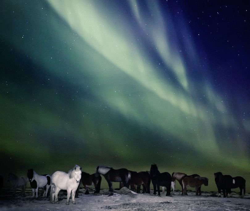 Gígja Einarsdóttir, photographer who was born and raised around Icelandic horses #WomensArt