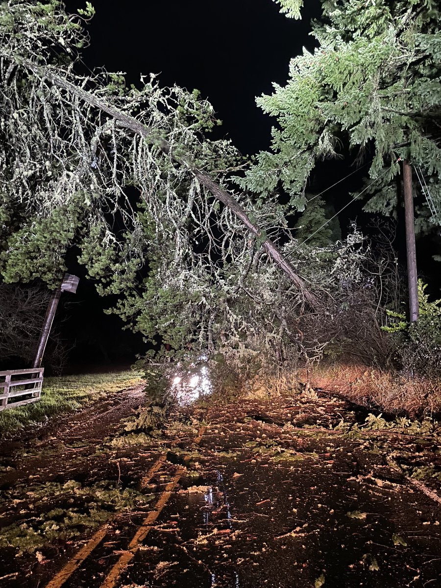 PenLightCo's tweet photo. Photos from the field. Trees down everywhere and 11000+ without power at the moment. Use caution throughout the day as gusts are still predicted until the afternoon. (Tree pic Lackey Rd) https://t.co/bMsW0Arj97