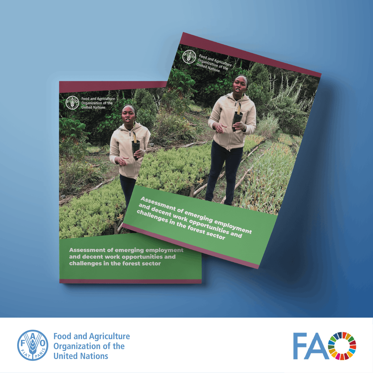 FAOForestry's tweet photo. 🌳✨ A new @FAO report on 'emerging employment & decent work opportunities & challenges in the forest sector' identifies global megatrends that are renewing traditional forest-sector jobs.
🔗Read more: https://t.co/8PJXMhUqES
#DecentWork #ForestSector https://t.co/NqRgYNcvhZ