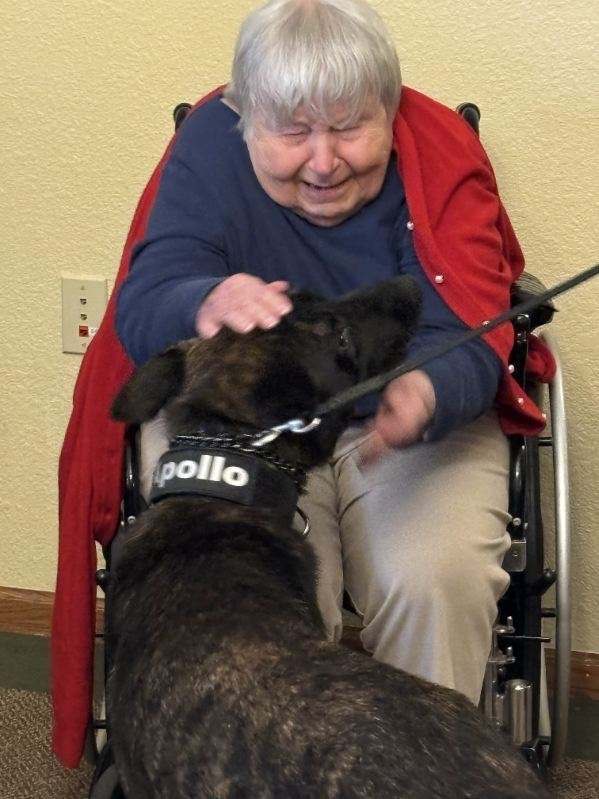 MonroePolicFire's tweet photo. Police K9, Apollo, and his handler, Peyton Smithers, stopped by Brookdale recently to visit with some of their residents. Apollo was well received and was happy to make some new friends. Brookdale Monroe 🚓👮🐕‍🦺#policecanine #k9police #cityofmonroepolice #cityofmonroemi #apollo https://t.co/xaSJ4LY6ha