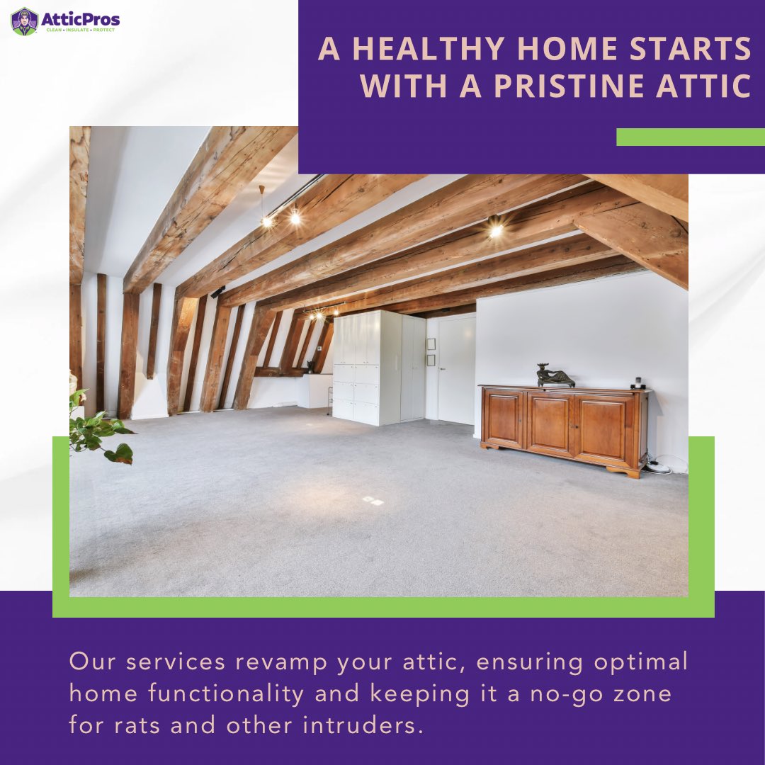 AtticPros1's tweet image. Think beyond aesthetics—attic cleaning is the secret to a healthier home. 🏡 Let’s clear the clutter and the critters! 🐭

💬 Message us to learn more about our services!
atticprosinc.com

#HealthyHome #AtticCleaning #CleanAndSafe #AtticMakeover #HomeImprovement