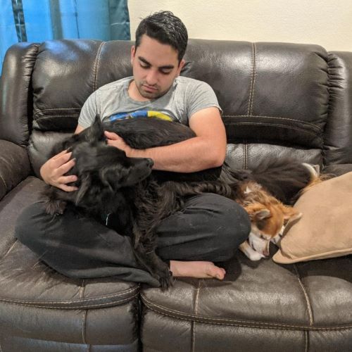 Is your dog ready for the fireworks and thunderstorms of summer? Learn how to recognize when they need extra help and what steps you can take to help them get through stressful situations.

s.mtrbio.com/yojschwfds

#penniesplacesandpaws #dogmom #doglife #lovemydog #dogproblems