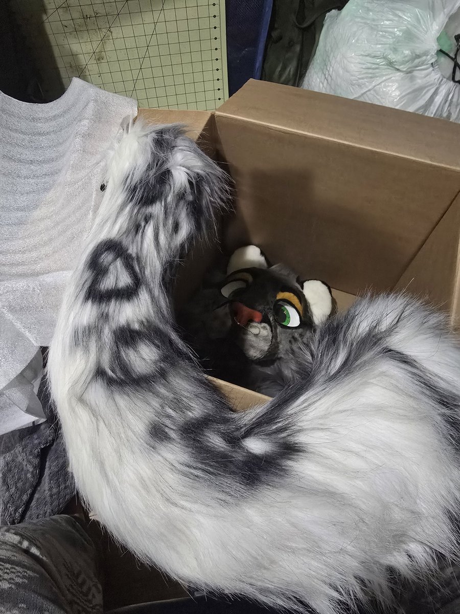 kiteuet's tweet photo. Phaedra is here! #Sassy #snep is sassy! #fursuit #partialsuit #snowleopard https://t.co/WBiqawRBz3
